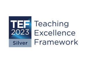 TEF Silver 2023 Logo